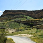 petromata_1