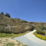 petromata_7
