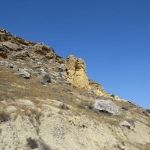 petromata_5