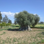 fysiko_perivalon_1