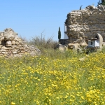 ag_marina_1