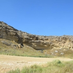 petromata_4