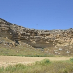 petromata_8