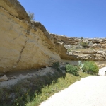 petromata_6