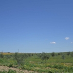 fysiko_perivalon_7